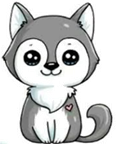 ptit_loup_2.jpeg